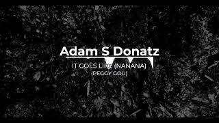 Adam S Donatz - IT GOES LIKE ( NANANA) [PEGGY GOU]