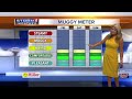 Nikki-Dee's early morning forecast: Friday, June 19, 2020