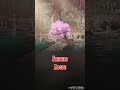 The Party arrives at... the Faewilds Abode | (No AI | D&amp;D / TTRPG Music)