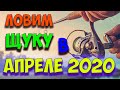 ВЕСЕННЯЯ РЫБАЛКА 2020 / Донецкая область Делеевка / Окунь / Щука