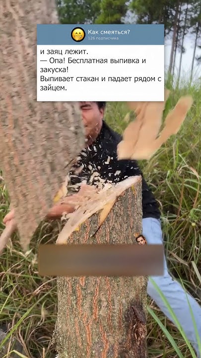 БУЙНЫЙ ЗАЯЦ😅 #юмор #мемы #анекдоты #shorts - YouTube
