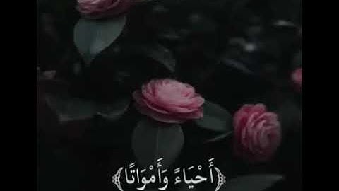 تلاوة يخشع لها القلب ماتيسر من سورة المرسلات | القارئ : صلاح المصلي