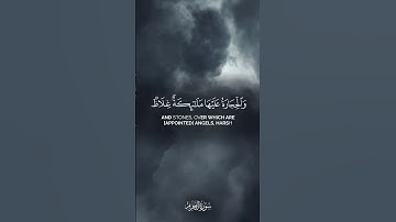 سورة : التحريم - الآيات: 6:7 - القارئ: الشيخ ياسر الدوسري