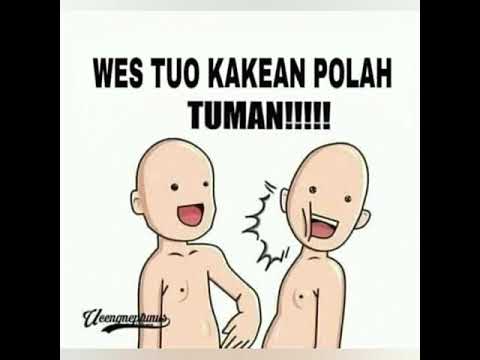 Full Download Lucu Meme Quot Tuman Quot Terbaru Maret2019