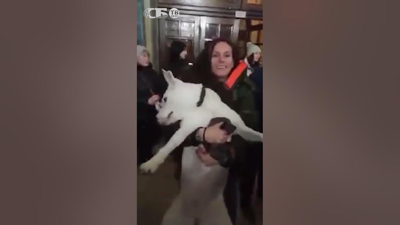 Жесть! Шабаш в православной церкви. Кому поклоняются в украинских ...