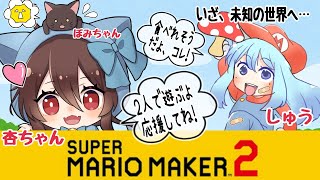 【生配信】SUPERMARIOMAKER2 杏ちゃんと抱腹絶倒⁉れっつぽんこつぷれい！