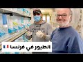 كناري والكولدن فينش في فرنسا شوفوا المفاجأة مال فرنسي 