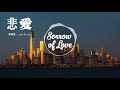 蕭敬騰 Jam Hsiao - 悲愛 Sorrow of Love「歌词版 Lyrics Vietsub」