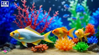 Целебная музыка для внутреннего покоя 🐬 Успокаивающая музыка и звуки моря для сна