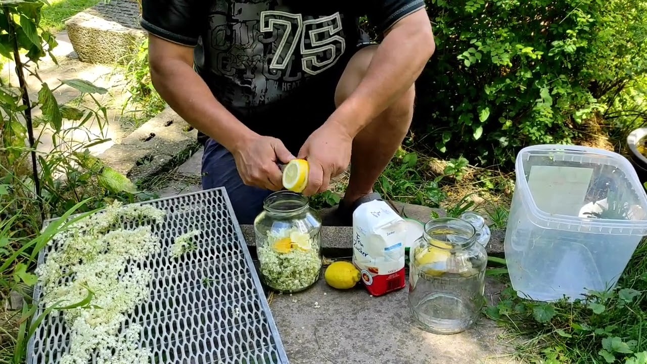 Holunder Limonade machen ohne kochen Oder auch Holunder Sekt ist sehr einfach zu machen und lecker