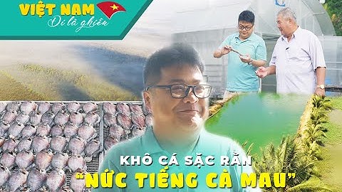 Tìm hiểu và thưởng thức khô cá sặc rằn đặc sản Cà Mau | VIỆT NAM ĐI LÀ GHIỀN #83