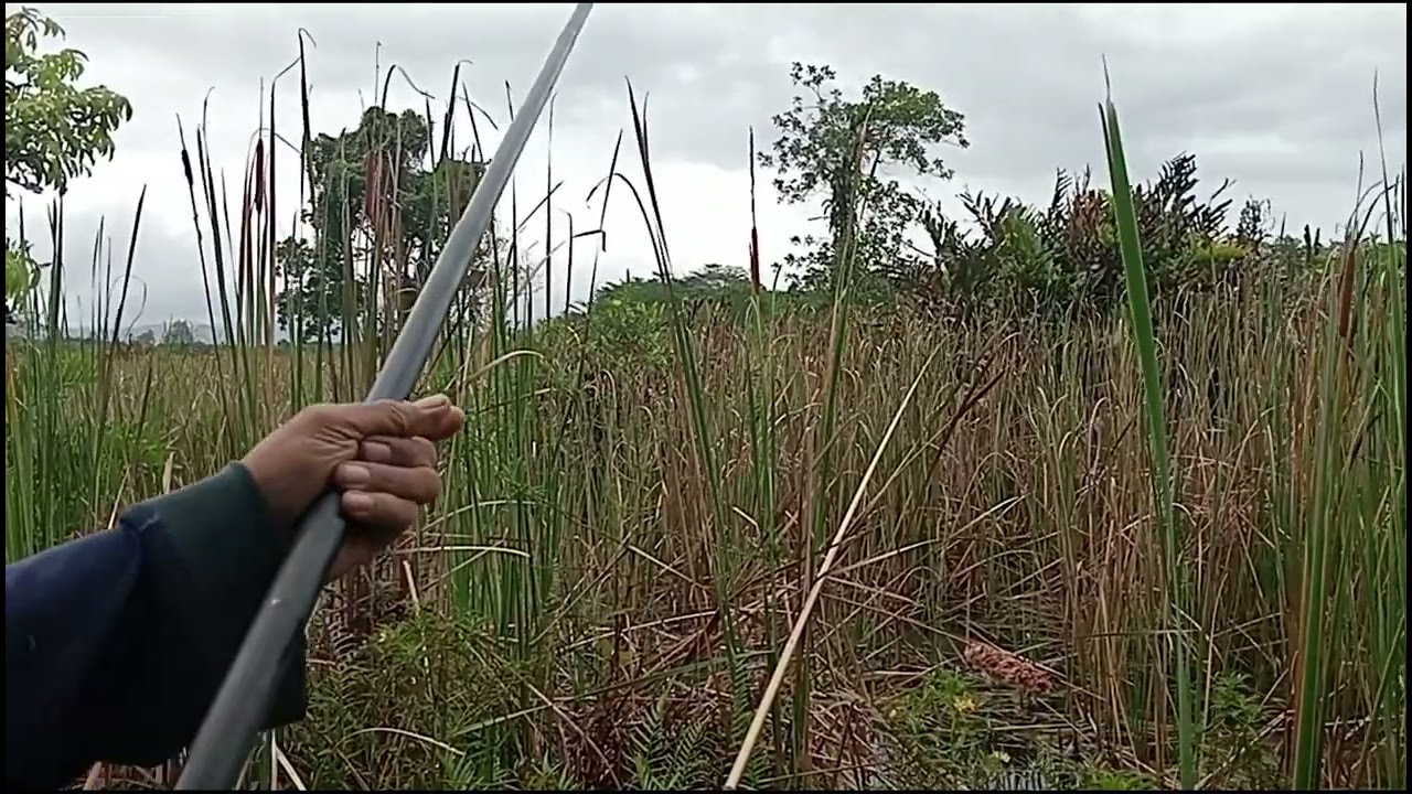 WALAUPUN HUJAN TAK JADI HALANGAN UNTUK MENCARI STREK IKAN BETOK.