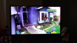 USPS versus FedEx