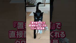 今日も届けてくれました🐈‍⬛#shorts#黒猫#保護猫