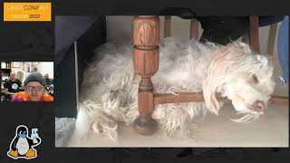 The Rockling FPGA Audio processor and Theremin SAO and Party Button SAO