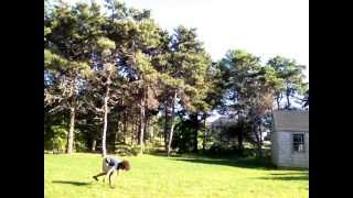 Cheat 900 hook sideswipe touchdown cork