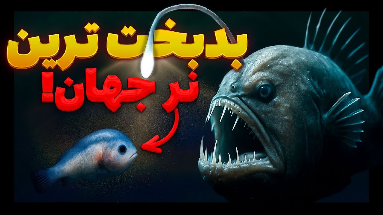 چگونه این ماهی نر تبدیل به عضو بدن ماده میشه؟