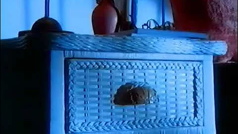 Pier 1 Imports commercial from 1999