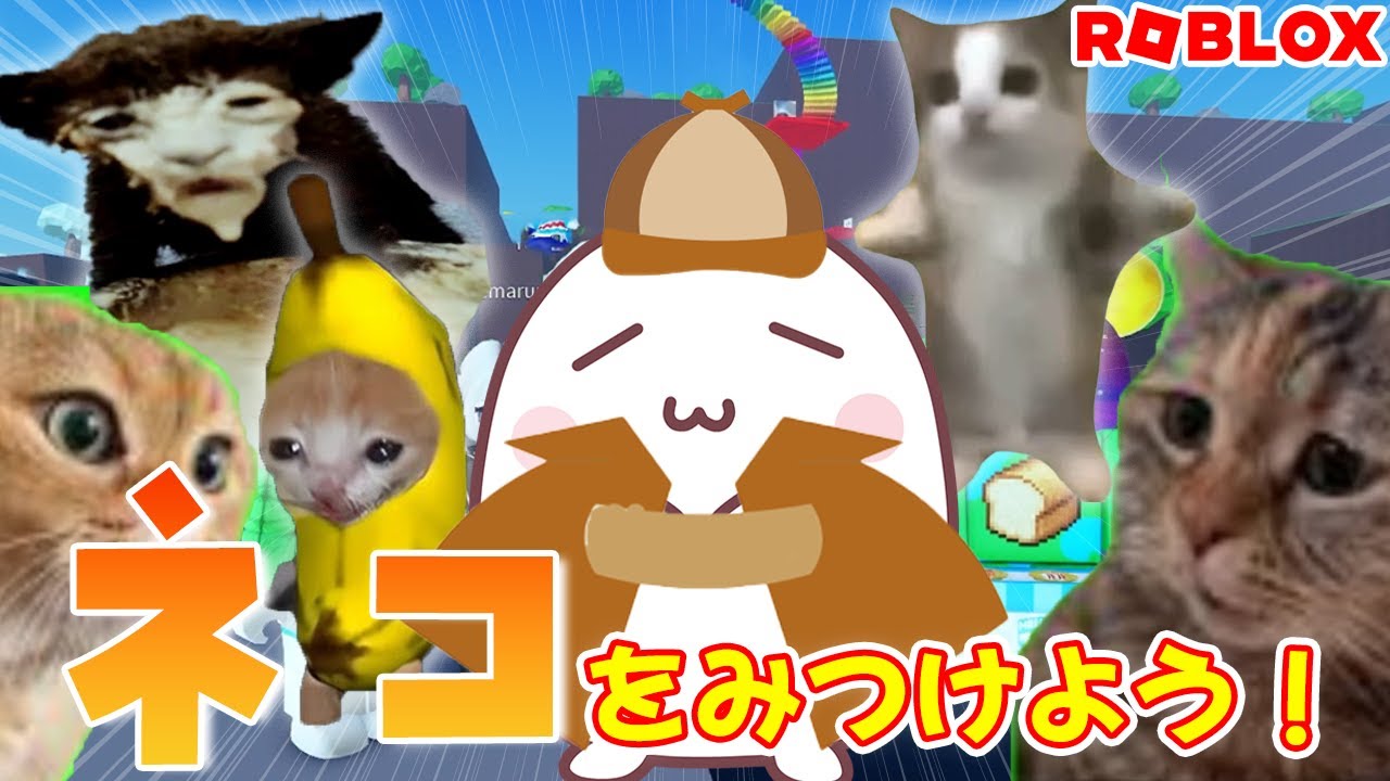 Let's find the lost cats! #roblox #roblox #recommendedmap - YouTube