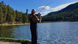 Fenton Lake New Mexico Trout Fishing Tips