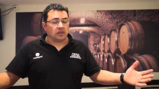 Churrasqueira Portuguesa, Grill Take Away na Rádio Clube Emigrante por Quelhas cultura geral... screenshot 2