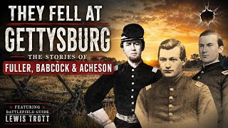 They Fell at Gettysburg: Stories from the Battlefield