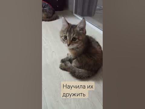 срок уплаты ндфл в 2023 году. налоги в мае 2023 года. усн в 2023 году изменения. налоги в мае 2023 года. новое в отчетности с 2023 года.