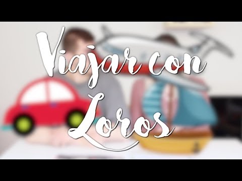 Video: Cómo Transportar Un Loro