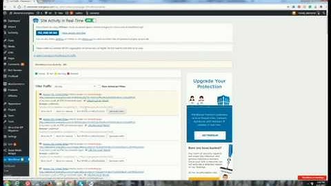 How to Check your website traffic in Wordpress