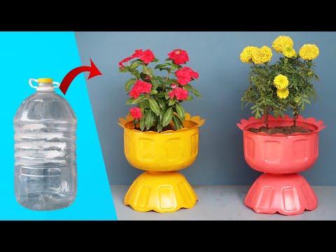 DIY Fikir, Plastik Şüşələri Kiçik Bir Bağ üçün Gözəl Bir Saksıya çevirmək