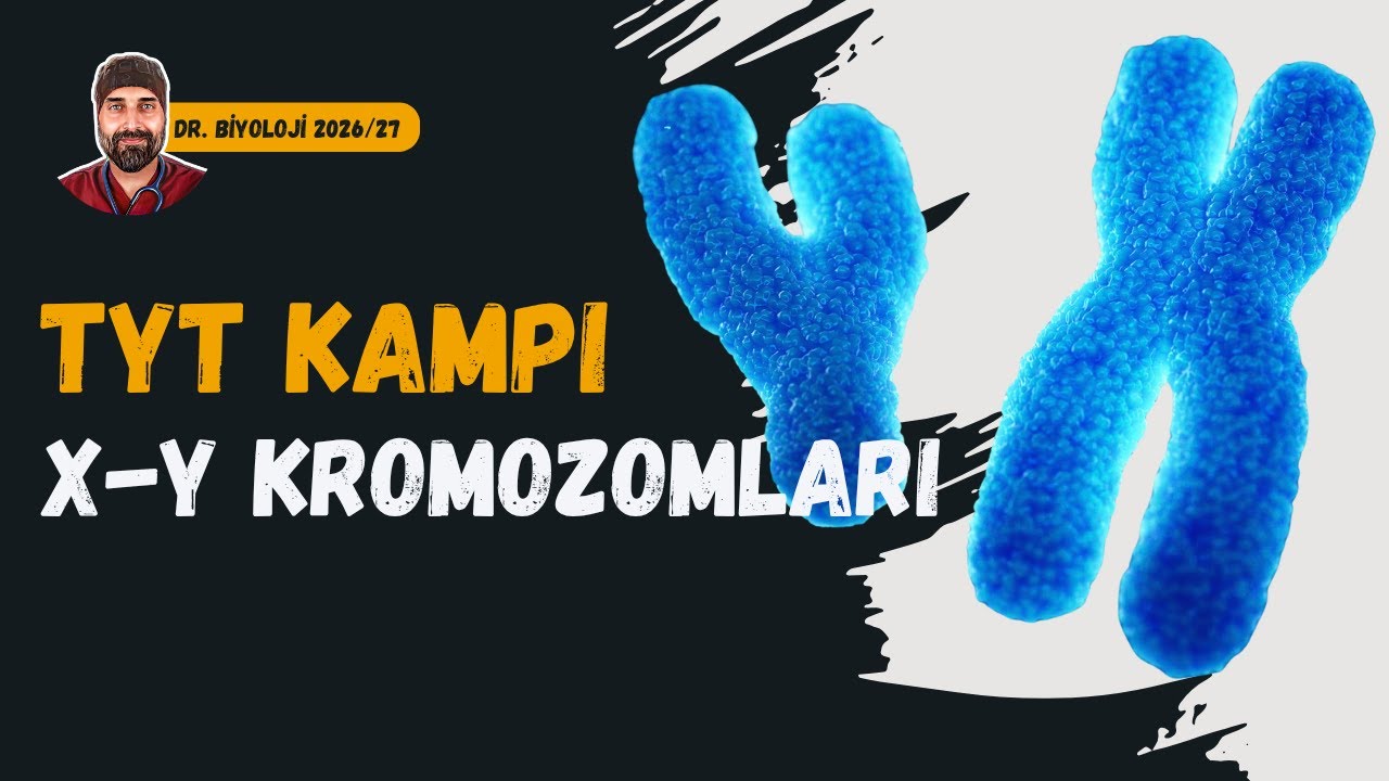 Eşeyin Belirlenmesi X ve Y Kromozomları | Dr. Biyoloji | Dönem 2026 - 2027
