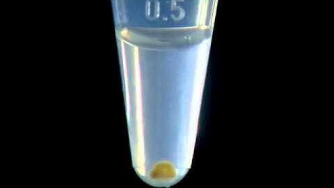 Eppendorf - MixMate – Pellet Resuspension