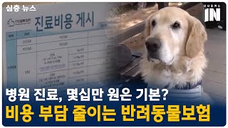 몇십만 원은 기본인 동물병원 진료, 비용 부담 줄이는 방법은?