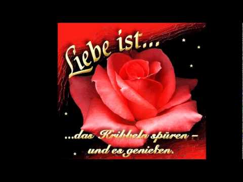 Wir Zusammen Wir Zusammen