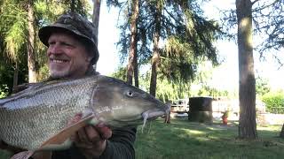 Barbel Fishing - Rolling Meat