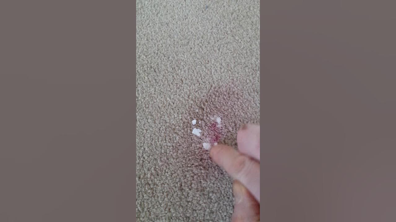 How to remove lipstick off your carpet YouTube