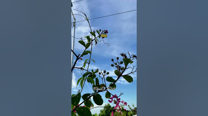 Bạn thân cho tiền để tôi cưa đổ em trai cô ấy #truyenngontinh #truyệnngôntìnhhaynhất #chulokhiet