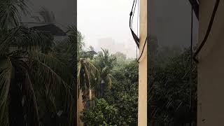jase barish