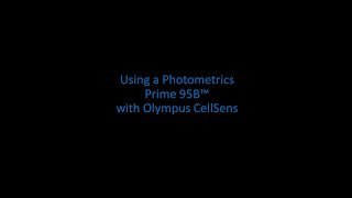 Running a Prime 95B Scientific CMOS camera in CellSens Software screenshot 2