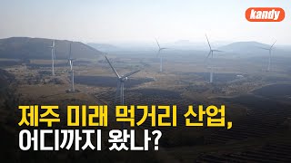 제주 미래 먹거리 산업, 어디까지 왔나? / KBS  2025.07.03.