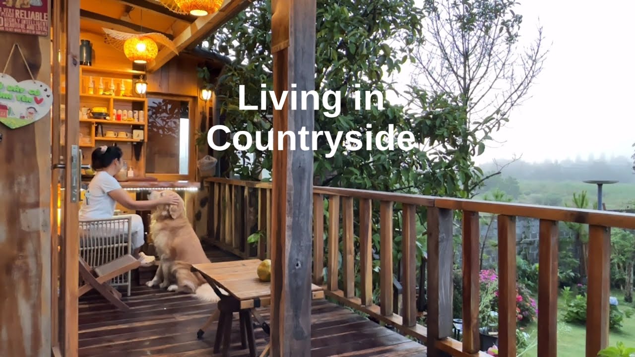 Cuộc sống nông thôn vietnam | làm vườn ,hái rau , nấu ăn | gà xào húng quế