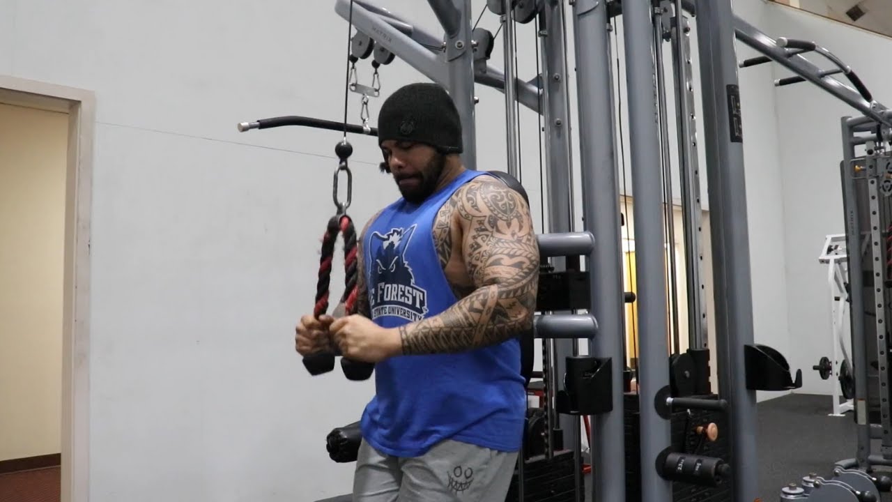 Arm Day Madness: Crush Your Workout, Crush Your Goals | 2024 Cutting Transformation