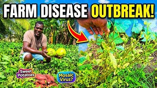 ​Deep Reasoning With Squaite: Childhood Memories, Struggles & Life on the Farm