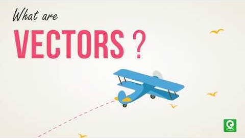 Introduction to Vectors in Hindi | Physics | Maths | IIT JEE