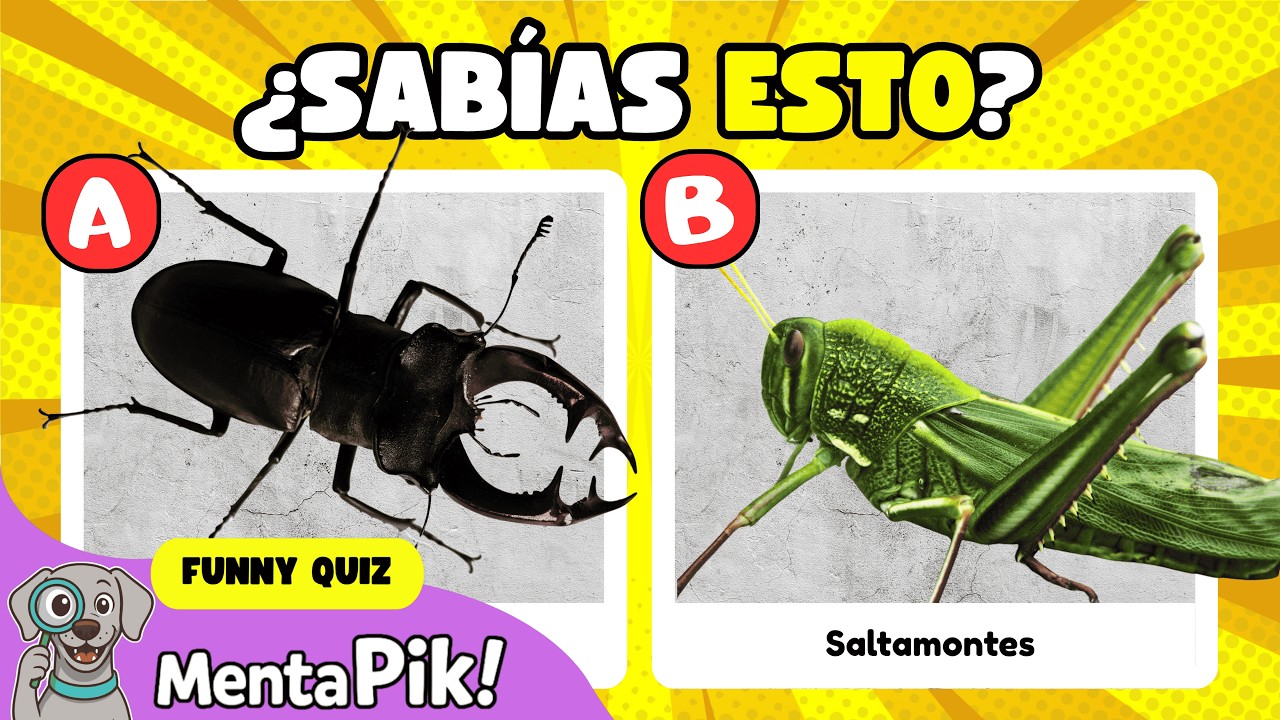 Invertebrados para niños ¿Crees que sabes mucho sobre INSECTOS? ¡Pruébalo!