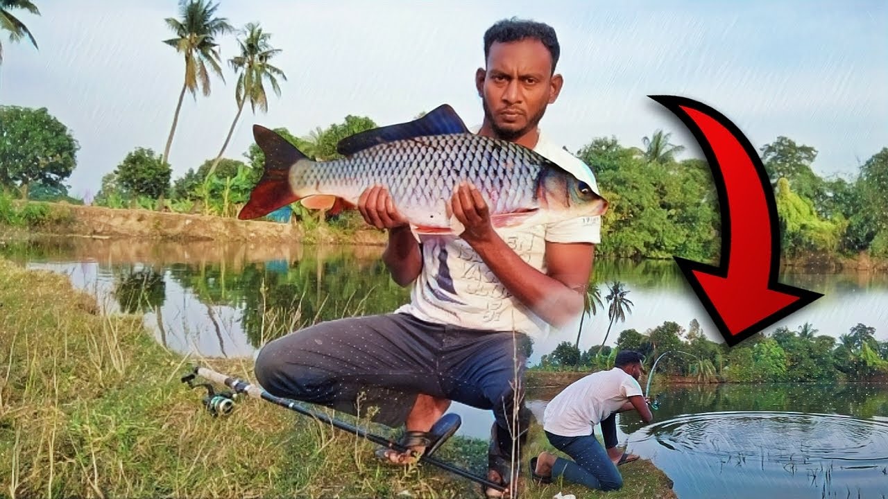 Best fishing rod in fish | Winter day ticket carp fishing  | Wow village fishing life 