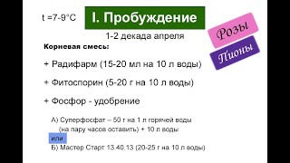 Уход за розами: первая обработка - Пробуждение