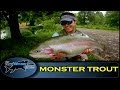 MONSTER TROUT on a 4 weight Fly Rod (4wt) - The Totally Awesome Fishing Show