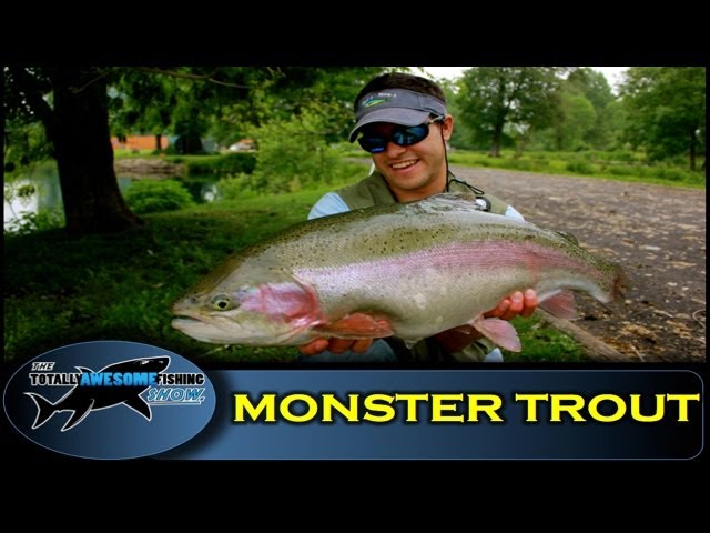 MONSTER TROUT on a 4 weight Fly Rod (4wt) - The Totally Awesome