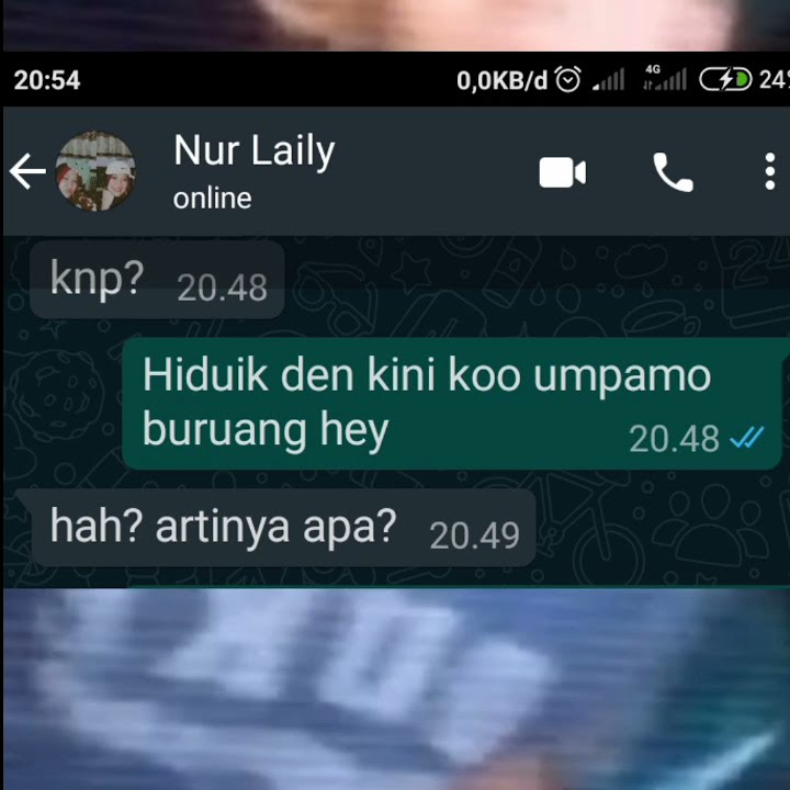 prank chat wa nyoba bahasa minang ke orang jawa
